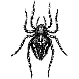 ubaidch43 profile picture