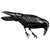 lilly34 profile image