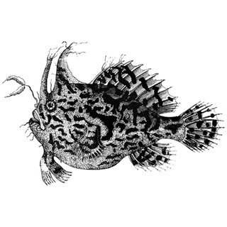 Mike profile picture