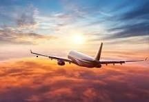 faresky trip profile picture