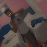 Nicolas Alexander gutierrez matos profile picture