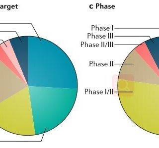 thomas schmitt profile picture