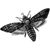 mortur61 profile image