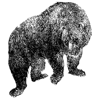 Orcasslicer profile picture