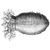 intosquadron profile image