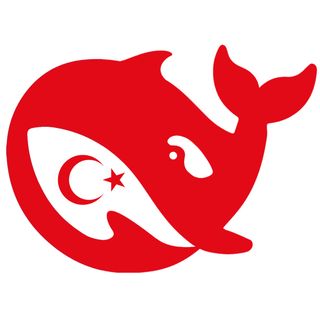 Deepseek Turkce profile picture