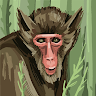 Marian Ceclea profile picture