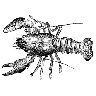 Booflix to profile picture