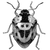 sarausa profile image