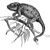 josephowe profile image