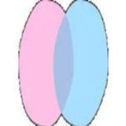 chatdansk profile picture