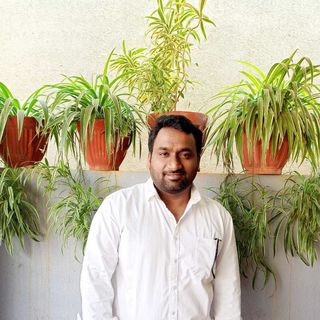 Vipin Kumar profile picture