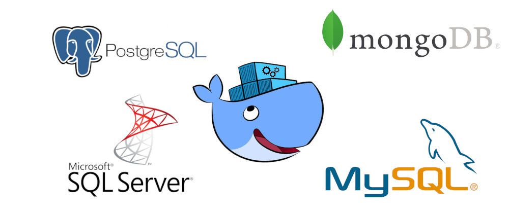 Cover image for How to use databases in the Docker world