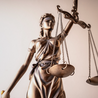 Georgia Inmate Search logo