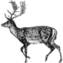 ronaldrmurray profile