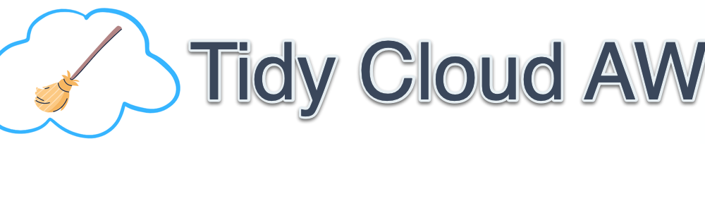 Cover image for Tidy Cloud AWS - FinOps