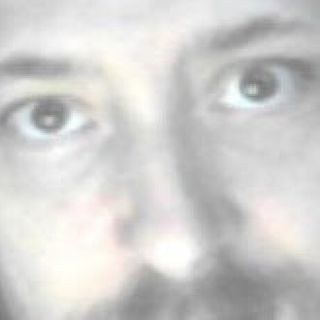 Monty profile picture