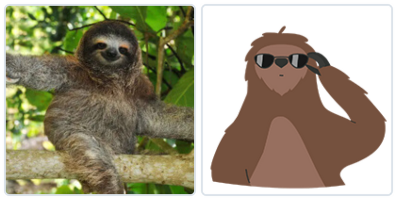Sloth Photograph and Graphic