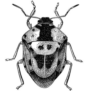 GeorgeOrdell profile picture