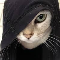 quibblits profile picture