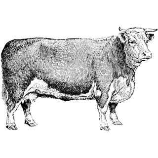 Albert Martin profile picture