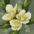 nosheen_zahra_800f1a07b6e profile image