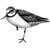 waheson