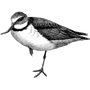 waheson794 profile