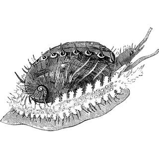 BFlix profile picture