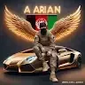 محمد شاهی profile picture