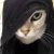 quibblits_ed0fe0e34252760 profile image