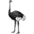 maruusa profile image