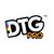 DTG PRO