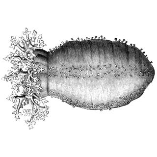 alexseenva profile picture