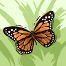 هالة عربة profile picture