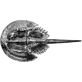 MTzse profile picture