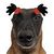 carson_fb75657b1a82ebd11a profile image