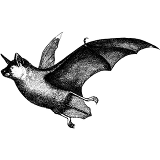 BillHenry profile picture