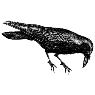 emanual profile picture