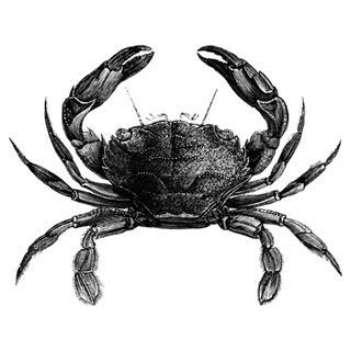 LincoJohnson profile picture