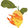 Lemons On Fire Clothing profile picture