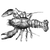 Microsoft Dumps