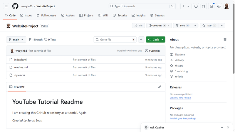 How to push code from VS Code to GitHub