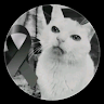 Oscar alonso Jacobo ramos profile picture