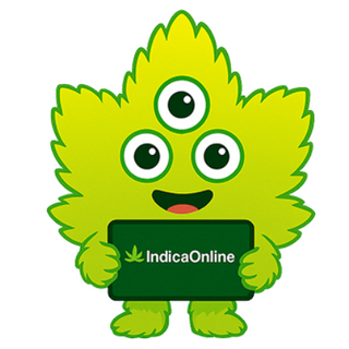 indicaonline profile picture