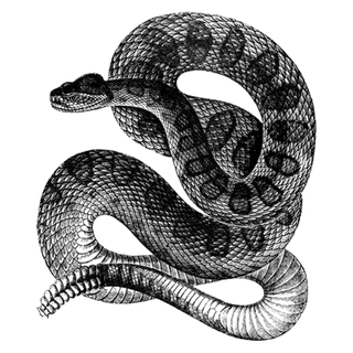 Apkdurdana profile picture