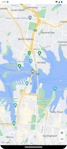 Simple Google Map
