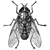nytwordlehints profile image