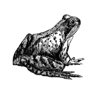 chrisvalen profile picture