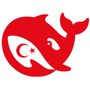 deepseek_turkce profile